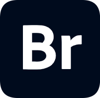 Bridge（Br）